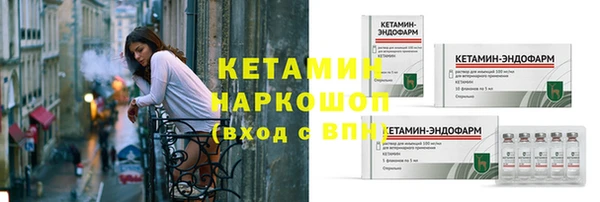 индика Горняк