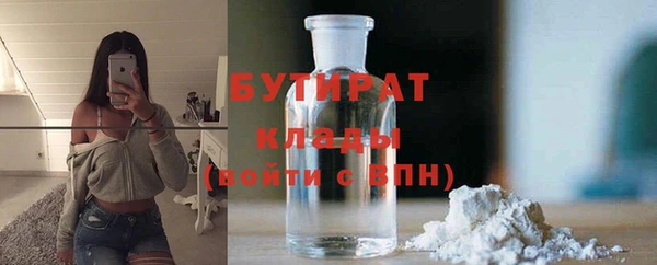 индика Горняк