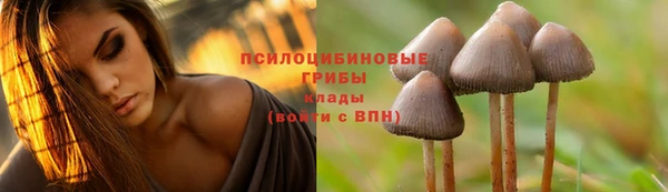 гашиш Горнозаводск