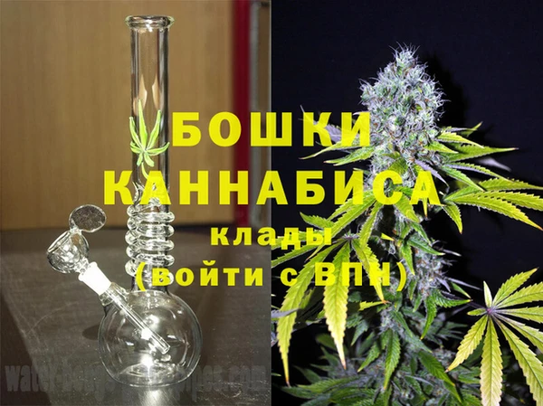 дмт Горно-Алтайск