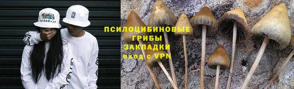 спиды Вязьма