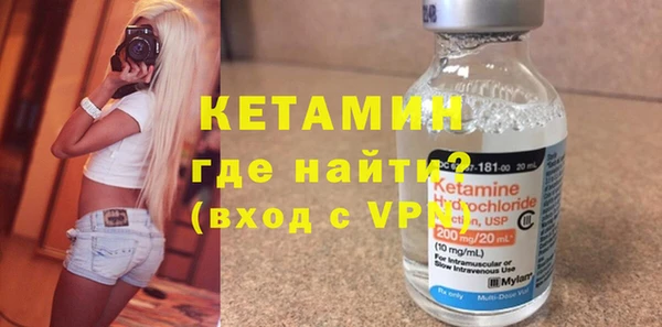 индика Горняк