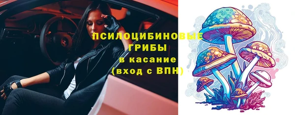 гашиш Горнозаводск