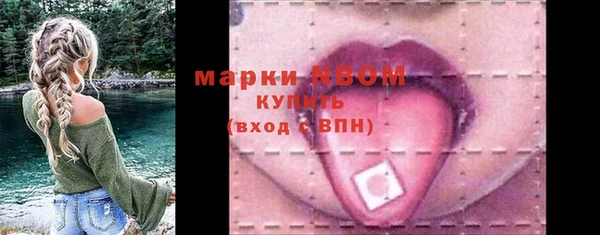 индика Горняк