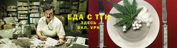 индика Горняк