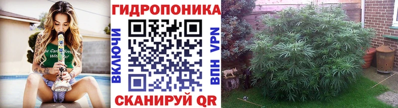 Шишки марихуана марихуана  Пикалёво 